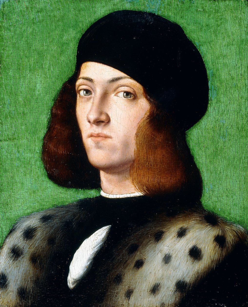 Nuoren herrasmiehen muotokuva, rinnan mittainen, musta lippis ja musta takki, 1506 tekijältä Andrea Previtali