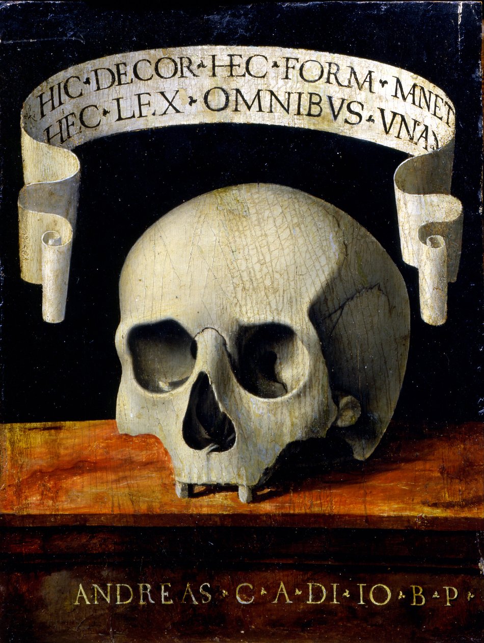 Miehen muotokuva - Memento Mori tekijältä Andrea Previtali called Cordeliaghi