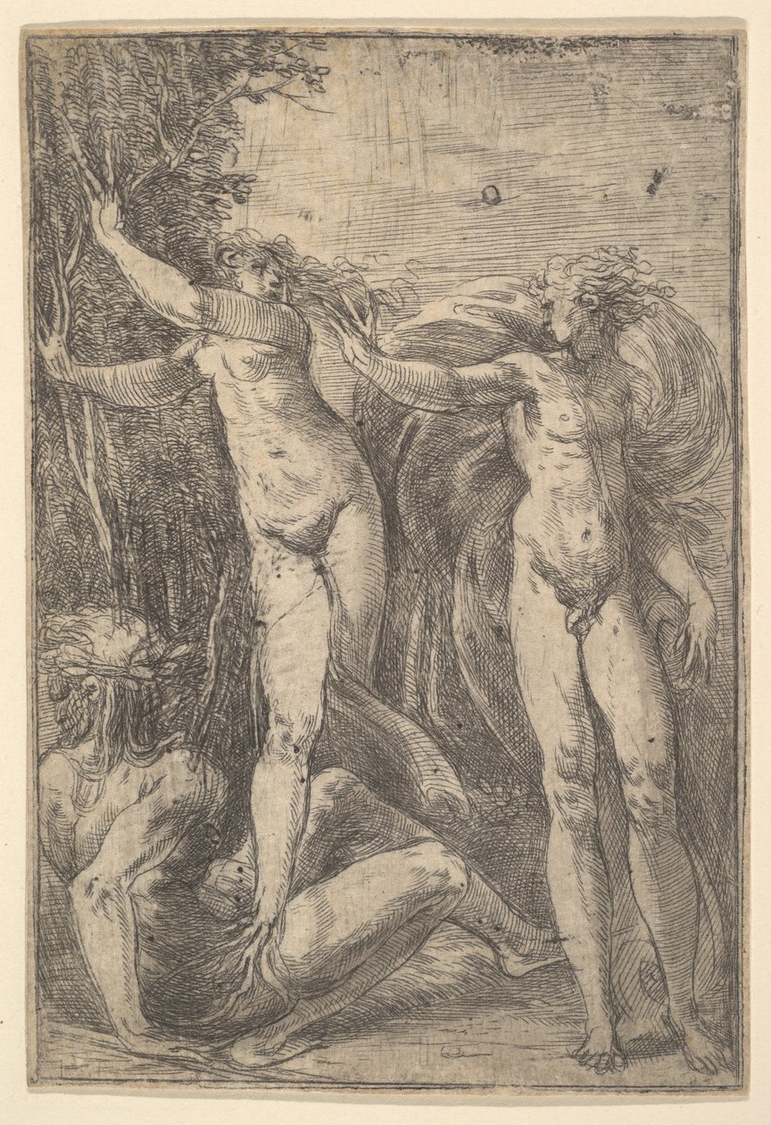 Apollo ja Daphne, n. 1538-40. tekijältä Andrea Schiavone