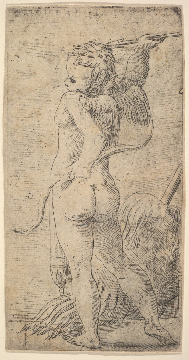 Amor takaa katsottuna nuolella kohotetussa oikeassa kädessään, n. 1543-45. tekijältä Andrea Schiavone