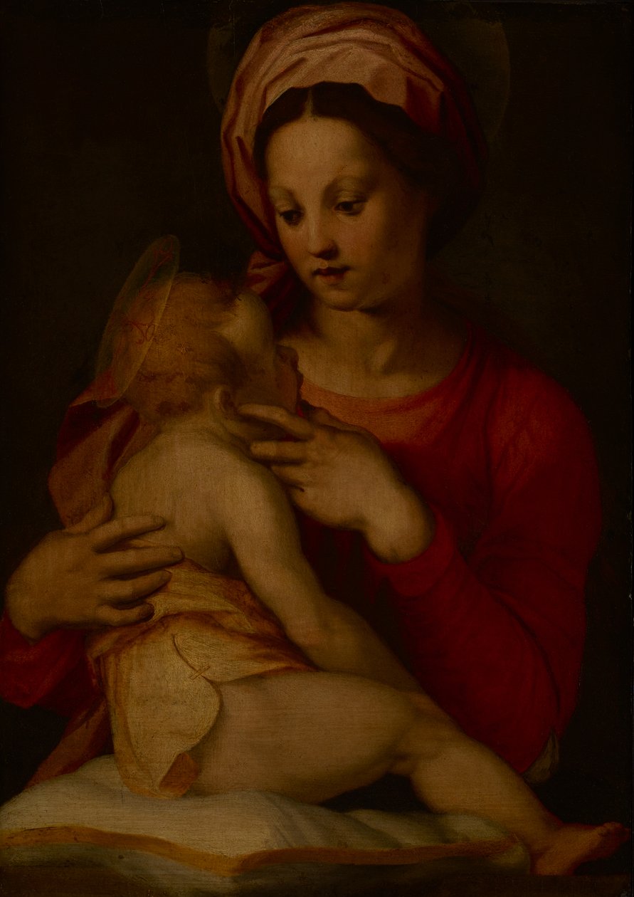 Madonna ja lapsi (öljy paneelissa) tekijältä Andrea del (attr.to) Sarto