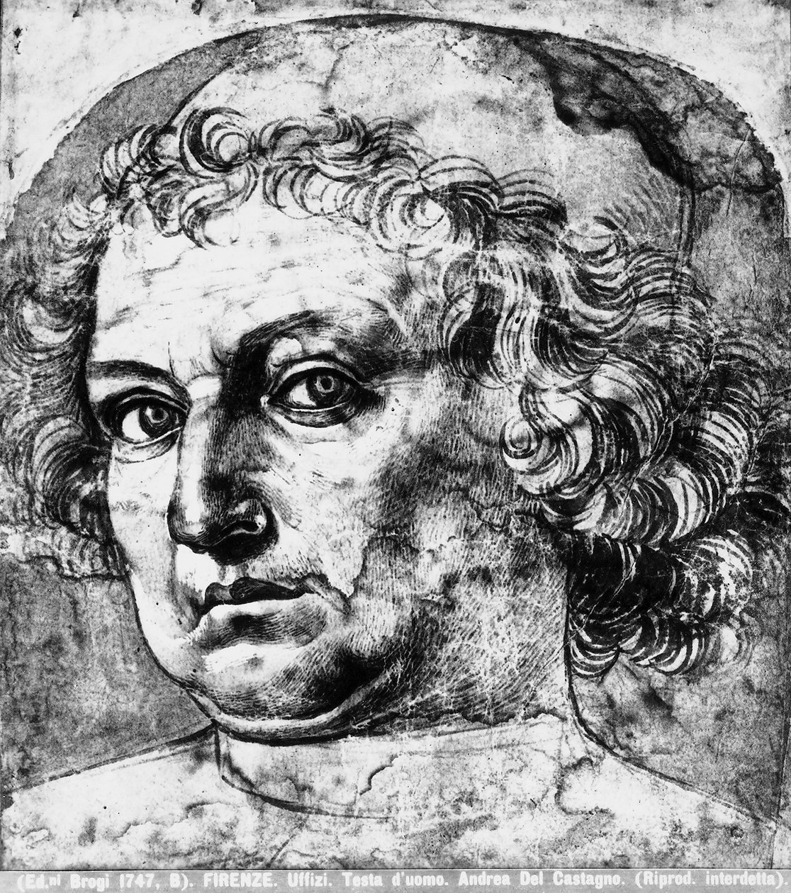 Miehen pää tai Andrea del Verrocchion muotokuva, n. 1450 tekijältä Andrea del Castagno