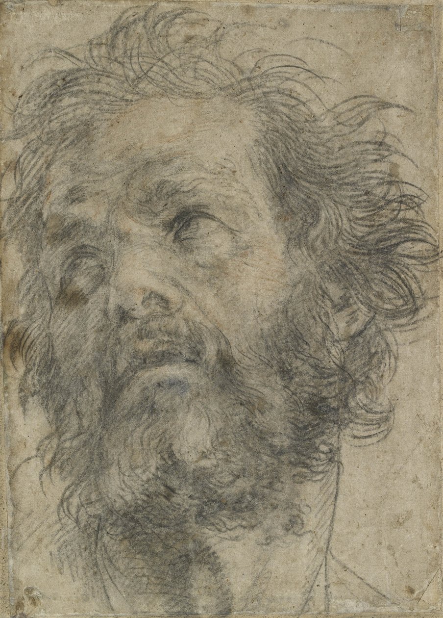 Miehen pää, (musta liitu paperille) tekijältä Andrea del Sarto