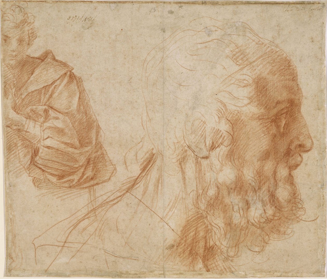 Nuorukainen ja vanhan miehen Homeroksen pää. Tutkimus, noin 1521 tekijältä Andrea del Sarto