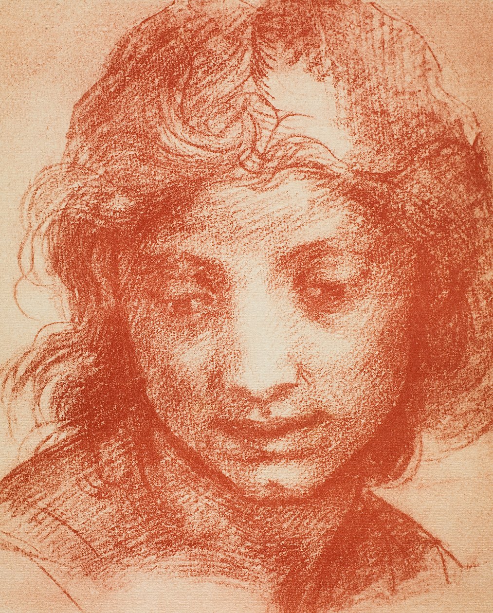 Pojat Head tekijältä Andrea del Sarto