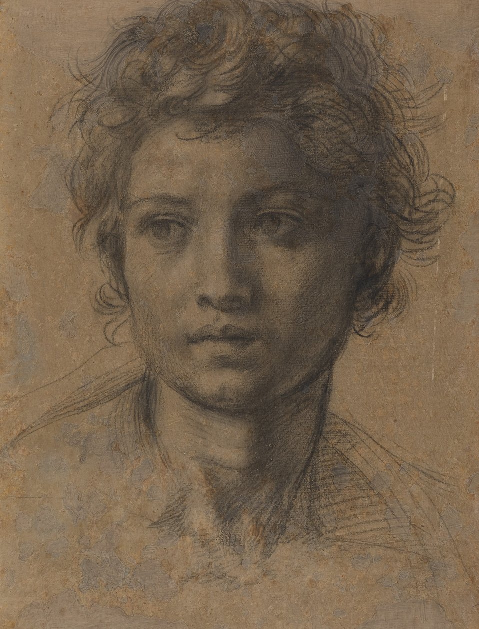 Pyhän Johannes Kastajan pää tekijältä Andrea del Sarto