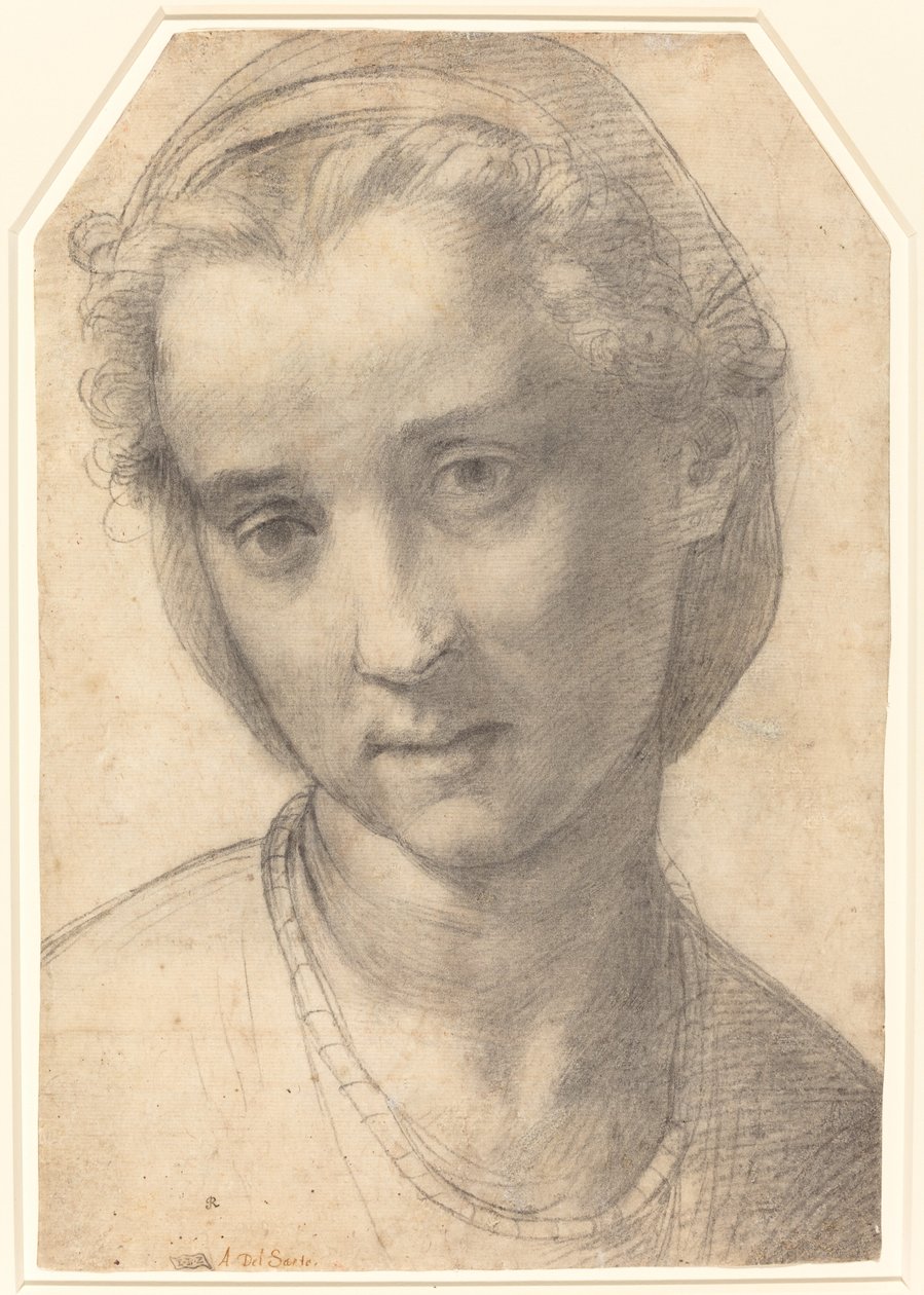 Naisen pää tekijältä Andrea del Sarto