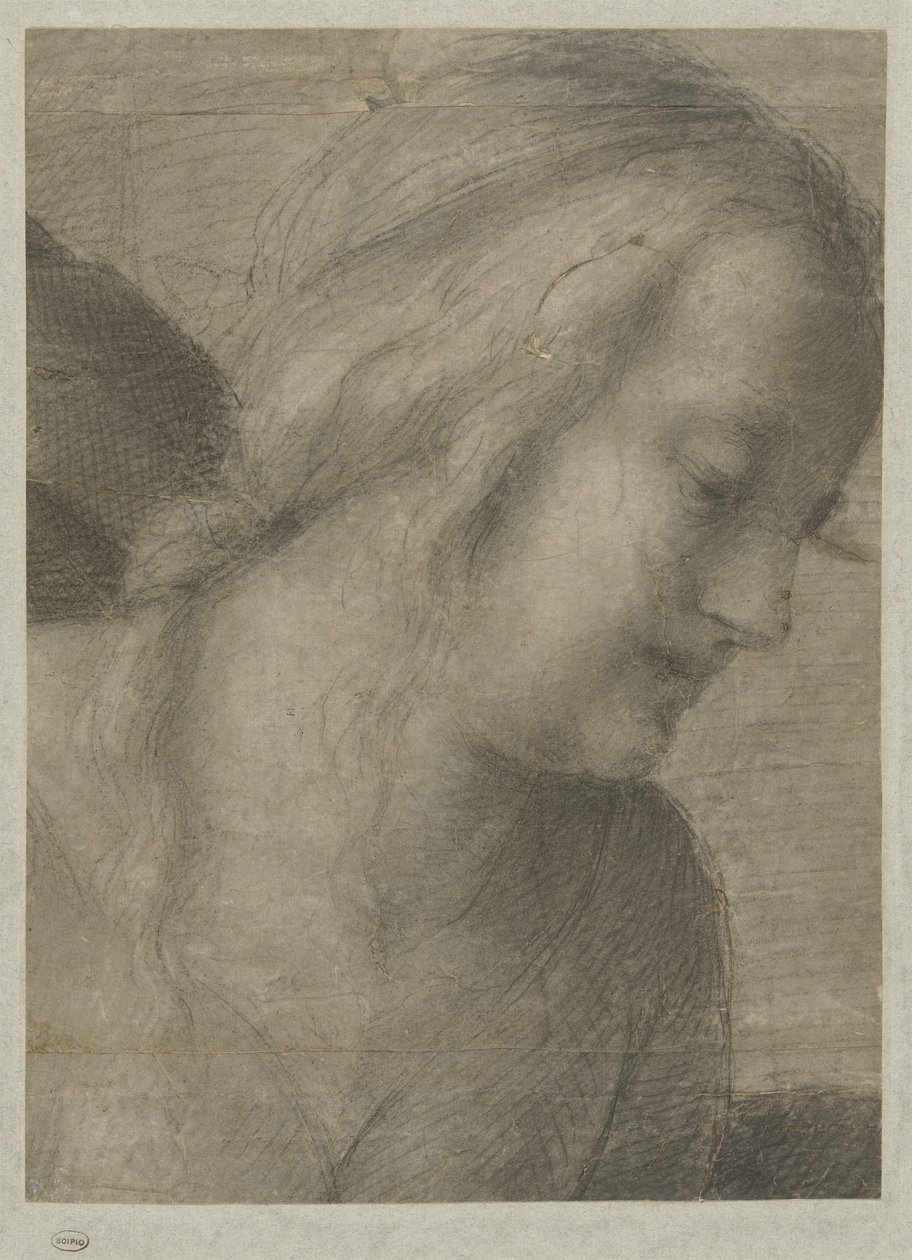 Marian pää palvonnassa tekijältä Andrea del Sarto