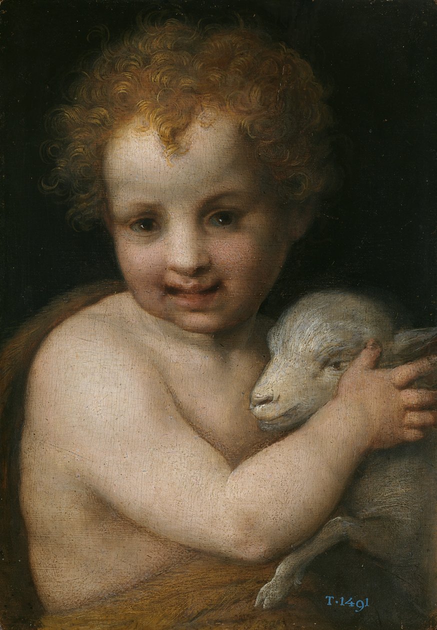 Johannes Kastaja lapsena tekijältä Andrea del Sarto