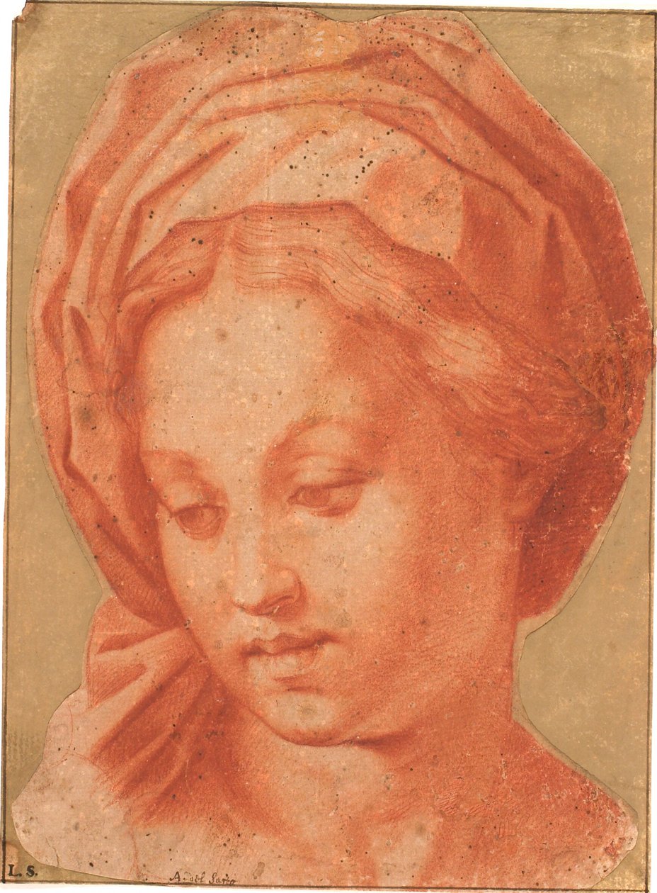Borghese Madonna tekijältä Andrea del Sarto
