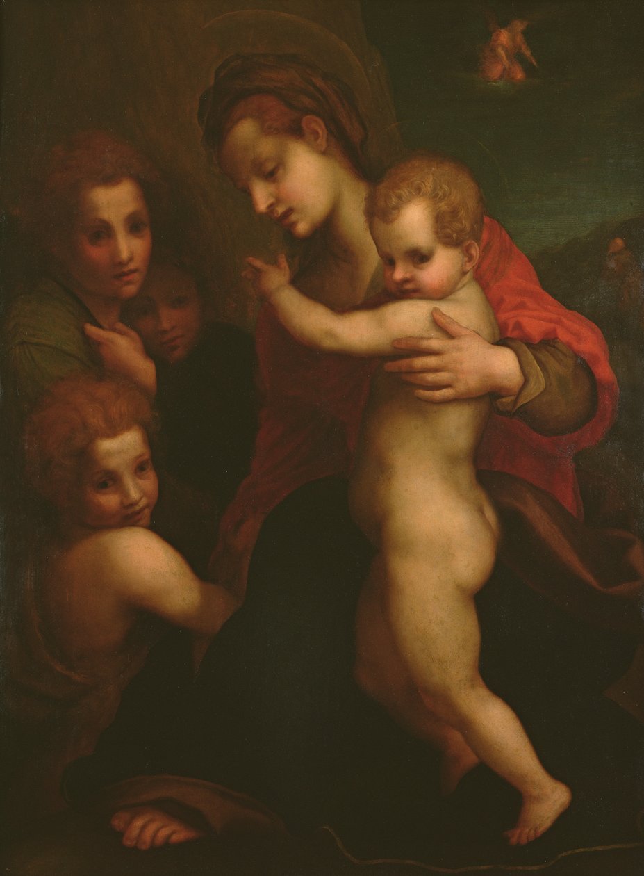 Madonna ja lapsi, Pyhä Johannes ja kaksi enkeliä tekijältä Andrea del Sarto