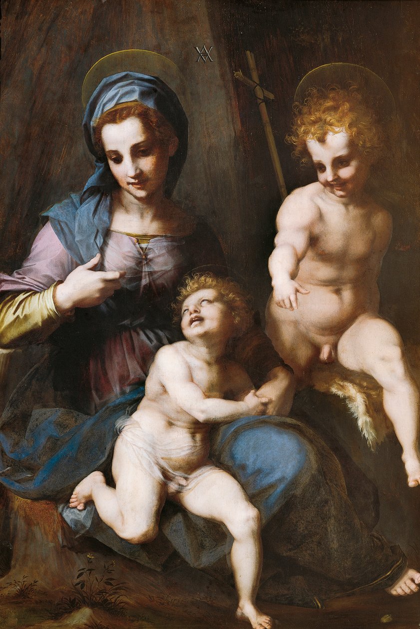 Madonna ja lapsi pikkulapsen Pyhän Johannes Kastajan kanssa tekijältä Andrea del Sarto