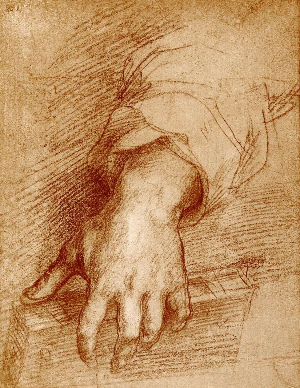 Madonna käsi kirjan kanssa tekijältä Andrea del Sarto