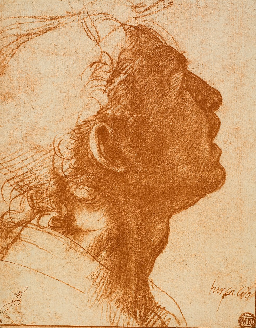 Mies pää tekijältä Andrea del Sarto
