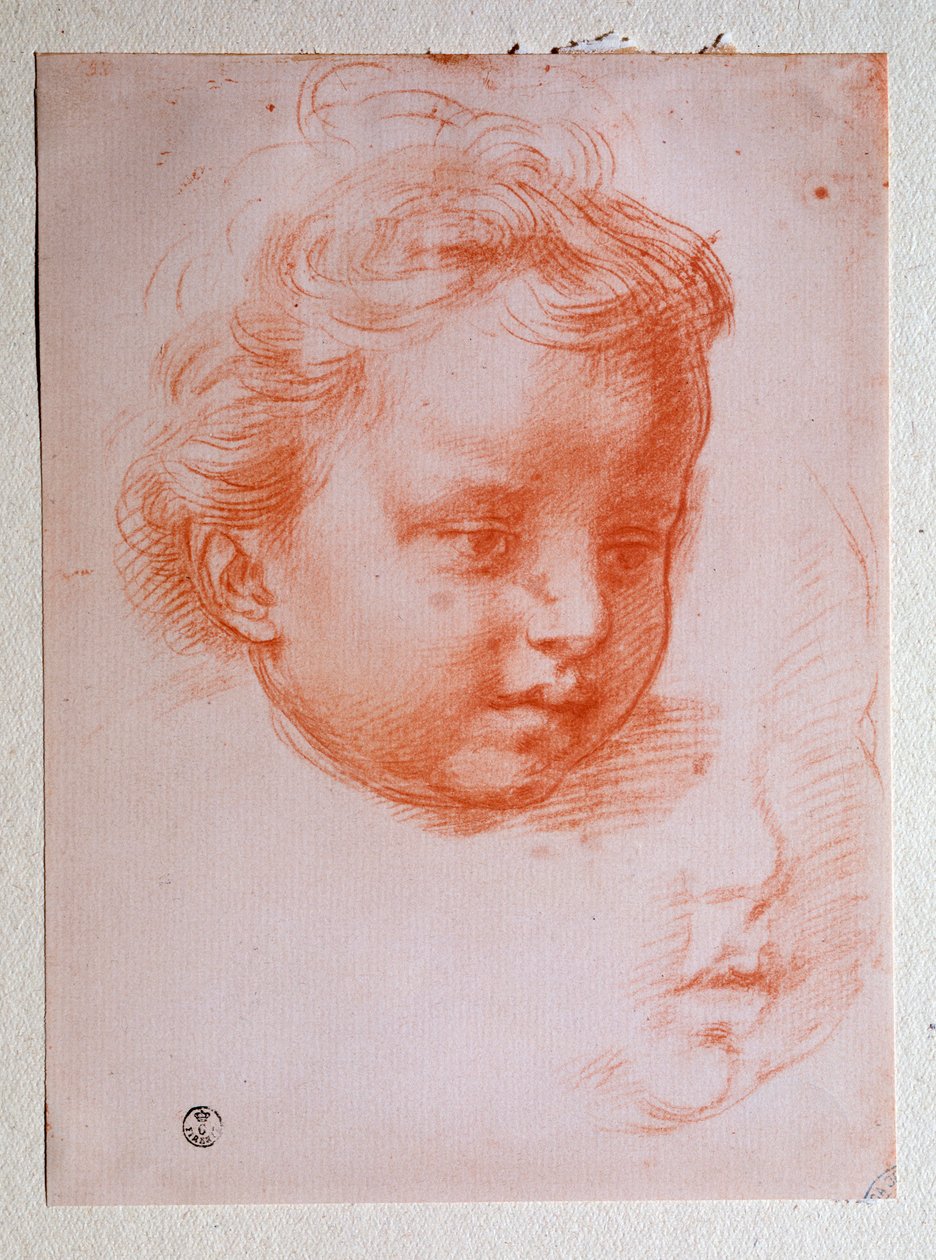 Putton pää (piirustus tekijältä Andrea del Sarto