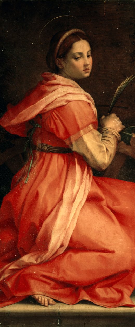 Pyhä Katariina Aleksandrialainen, noin 1530 tekijältä Andrea del Sarto