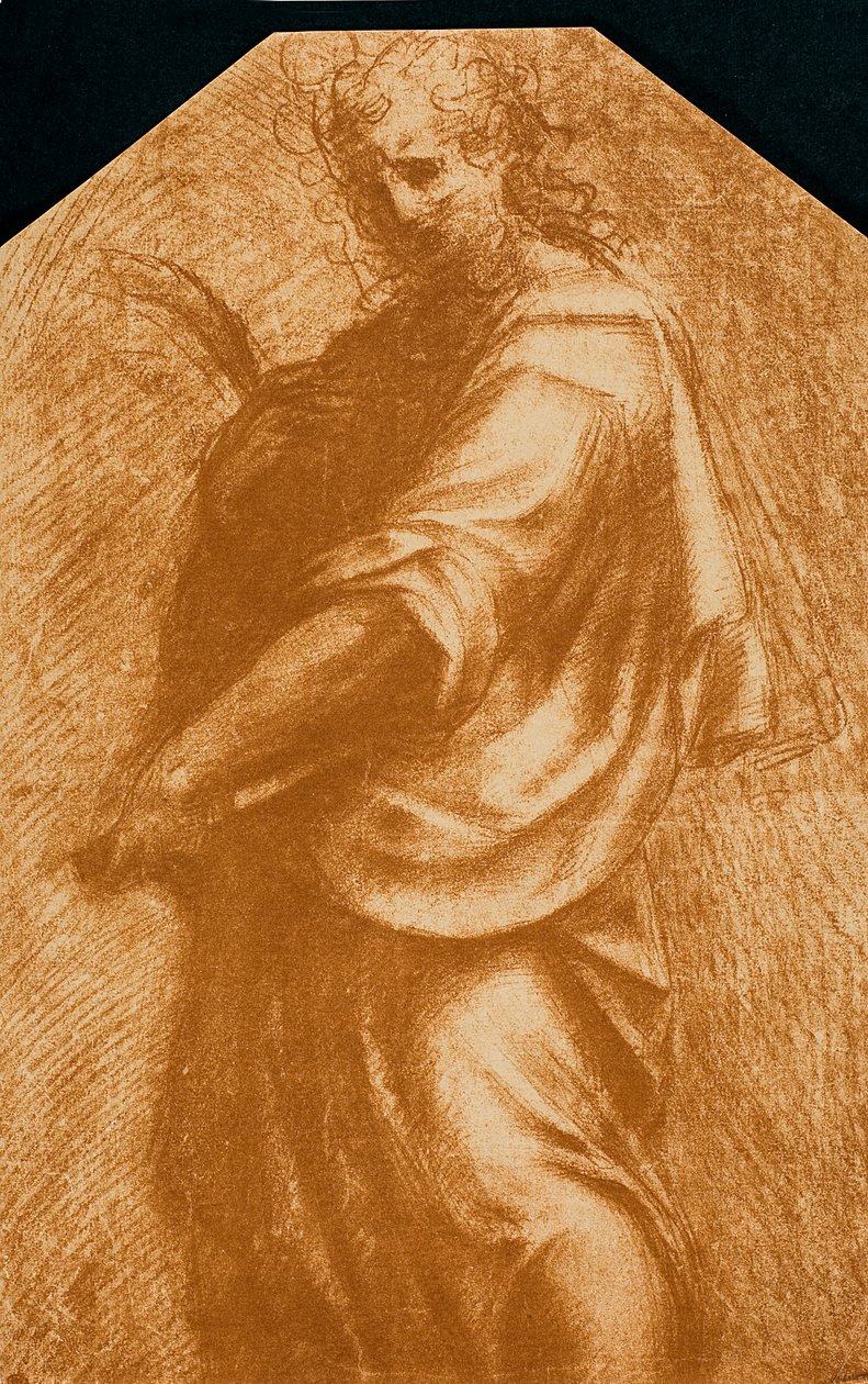 Pyhä Johannes Kastaja tekijältä Andrea del Sarto