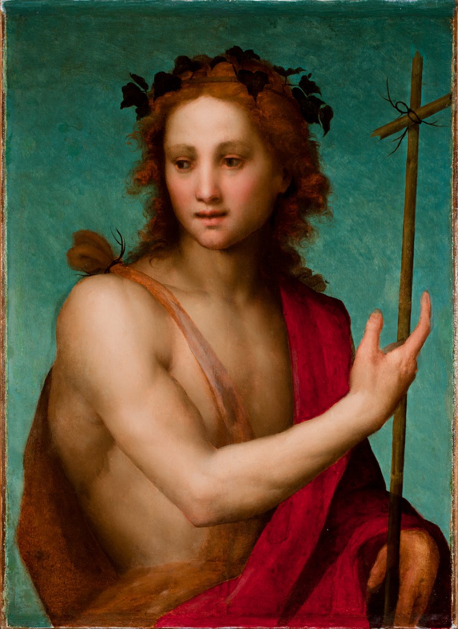 Pyhä Johannes Kastaja, n. 1517 (öljy taululle siirretty kankaalle) tekijältä Andrea del Sarto