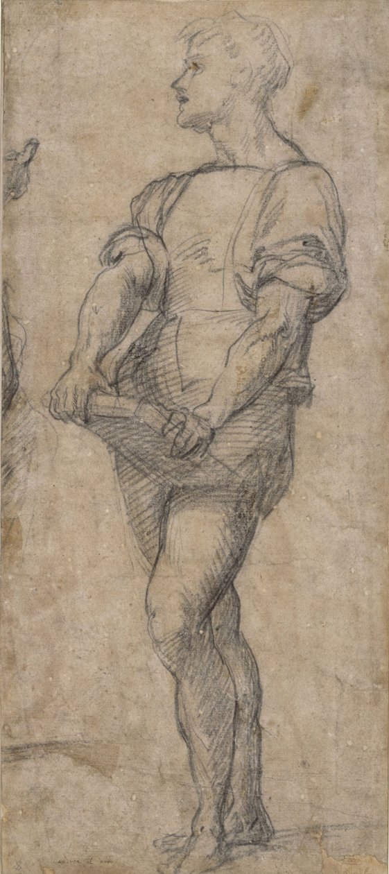 Pysyvä nuori kirja kädessään, n. 1515 tekijältä Andrea del Sarto