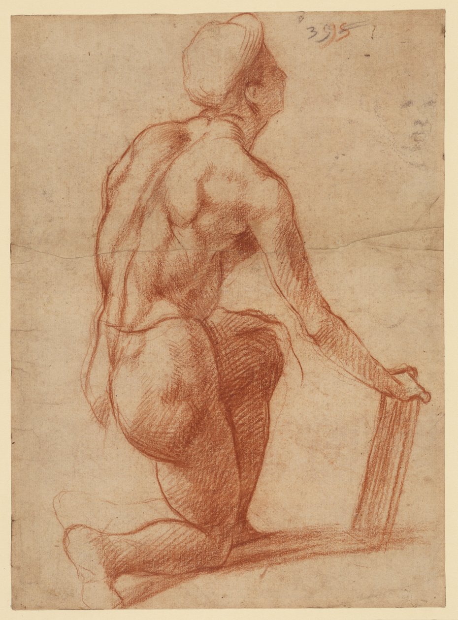 Tutkielma polvistuvasta hahmosta ja kasvoluonnos (etupuoli); hahmotutkielma ja kasvot (kääntöpuoli) tekijältä Andrea del Sarto