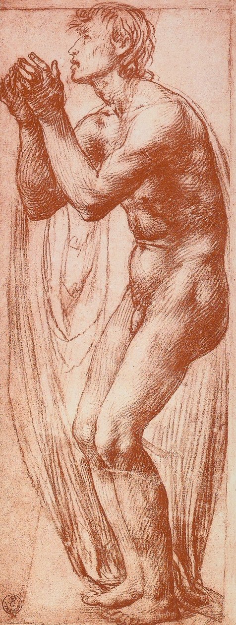 Mieshahmon tutkimus; piirustus Andrea del Sarto. Piirustus- ja grafiikkakaappi, Uffizi-galleria, Firenze tekijältä Andrea del Sarto
