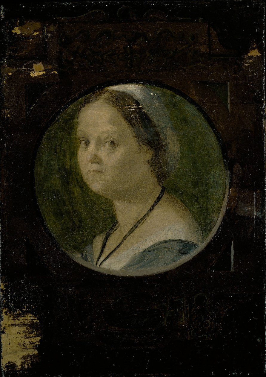 Domenico da Gambassin vaimo tekijältä Andrea del Sarto