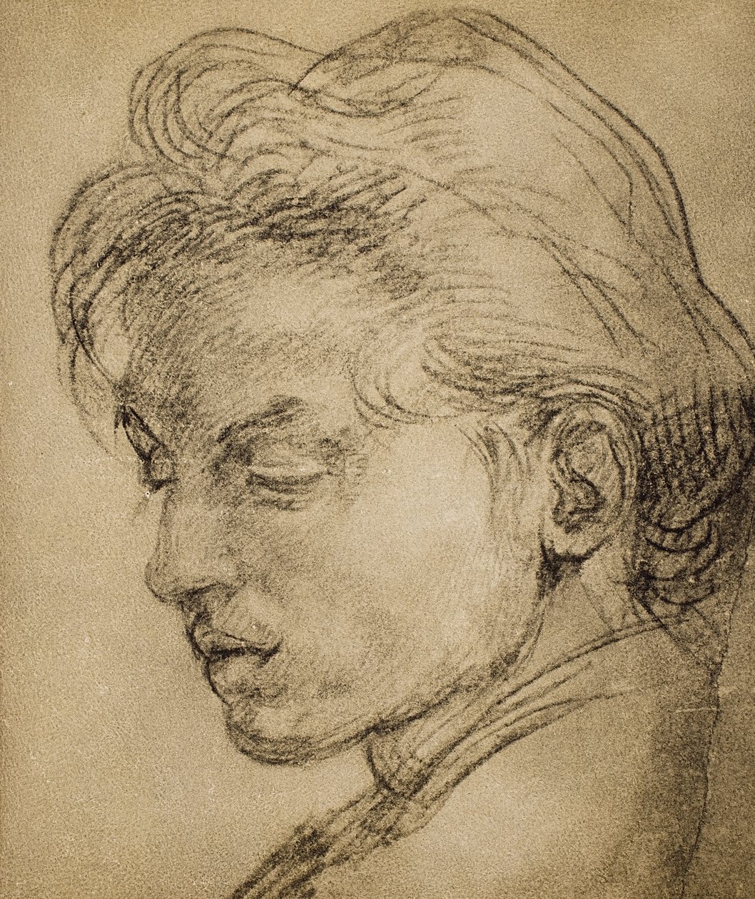 Vireä pää profiilissa tekijältä Andrea del Sarto