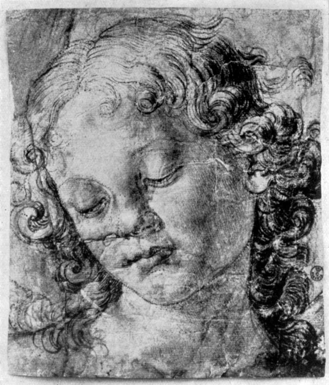 Enkelin pää, 1400-luku 1930. tekijältä Andrea del Verrocchio