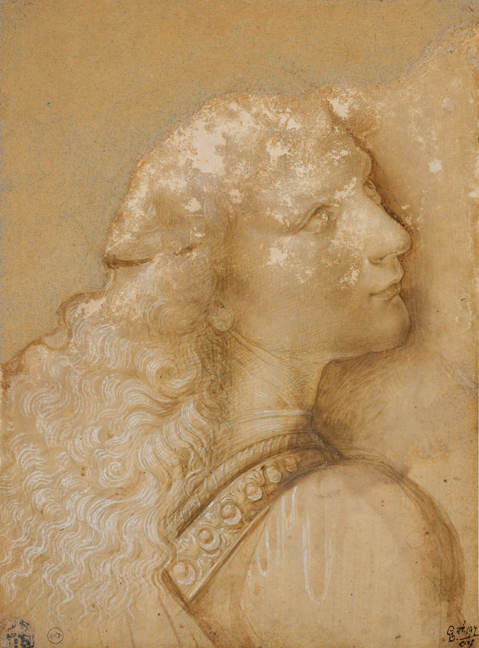 Nuoren miehen rintakuva, Verrocchion "Kristuksen kasteen" enkelin opiskelu, n. 1475 (metallikärki, okravesiväri ja valkoinen muste valmispaperille vaalea okra) tekijältä Andrea del Verrocchio