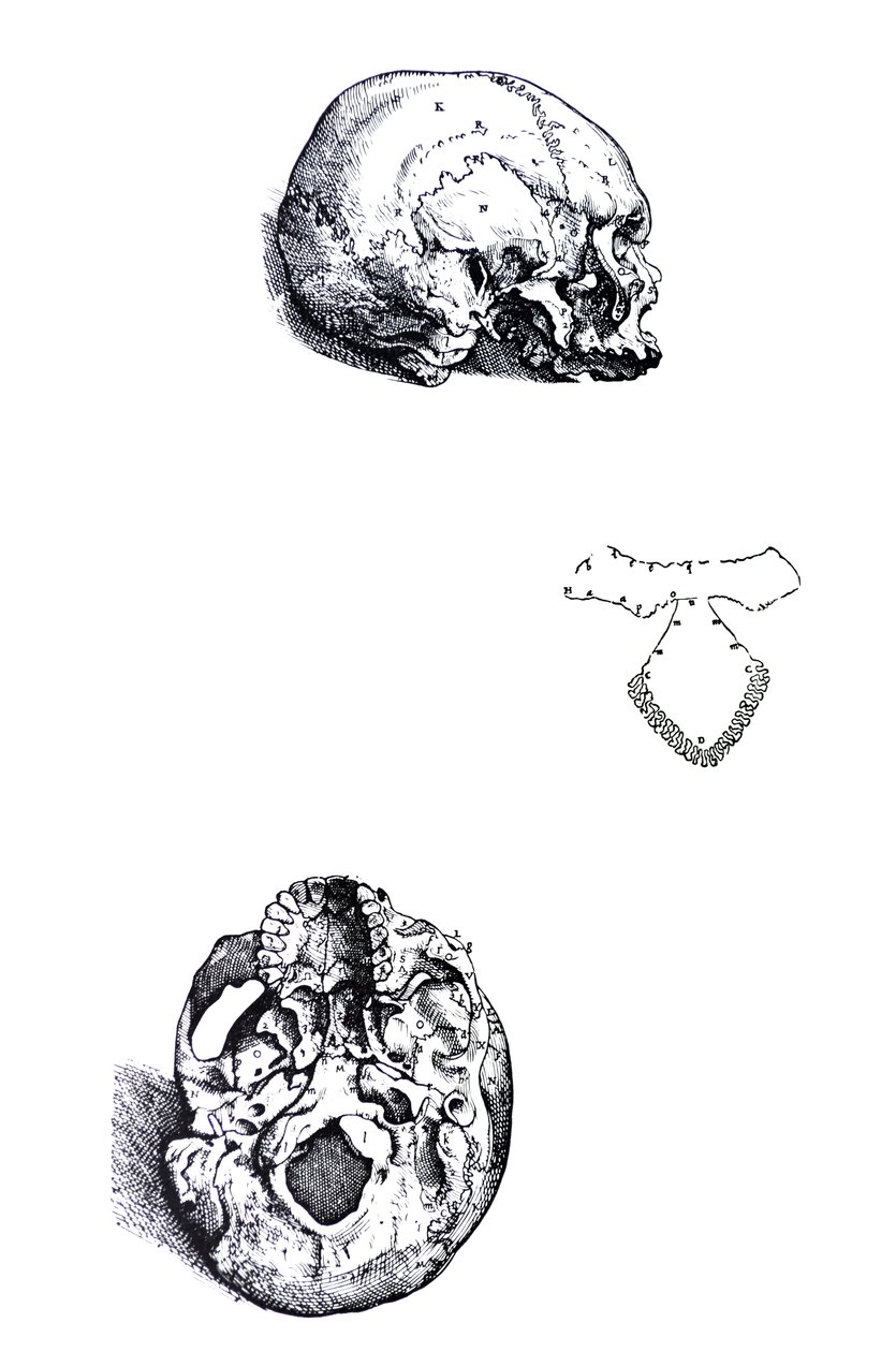 De Humani Corporis Fabrica -teoksen ensimmäisen kirjan laatat tekijältä Andreas Vesalius