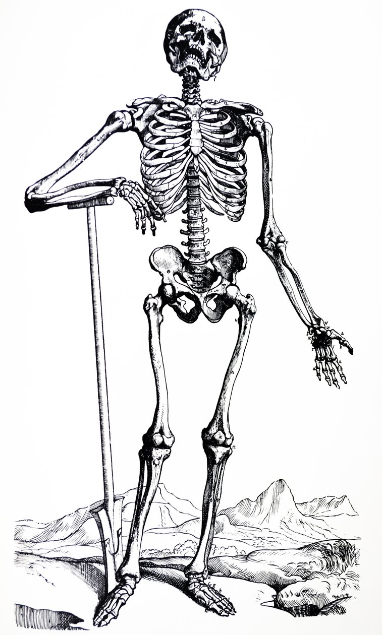 Lautaset De Humani Corporis Fabrican ensimmäisestä kirjasta tekijältä Andreas Vesalius