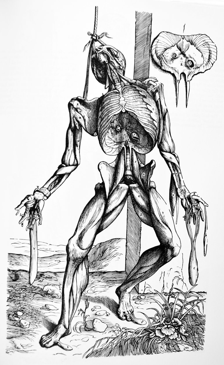 Levyt De Humani Corporis Fabrican toisesta kirjasta tekijältä Andreas Vesalius