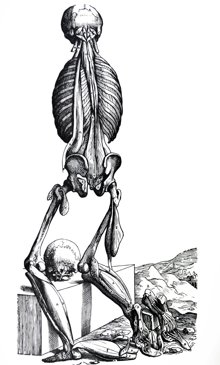 Levyt De Humani Corporis Fabrican toisesta kirjasta tekijältä Andreas Vesalius
