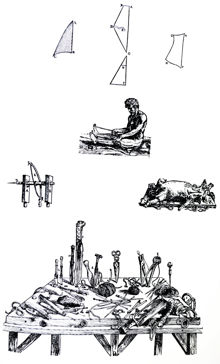 Levyt De Humani Corporis Fabrican toisesta kirjasta tekijältä Andreas Vesalius