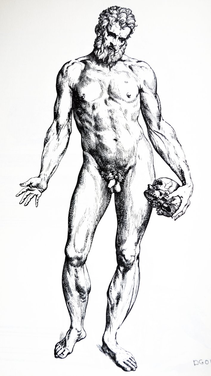 Lautaset De Humani Corporis Fabrican seitsemännestä kirjasta tekijältä Andreas Vesalius