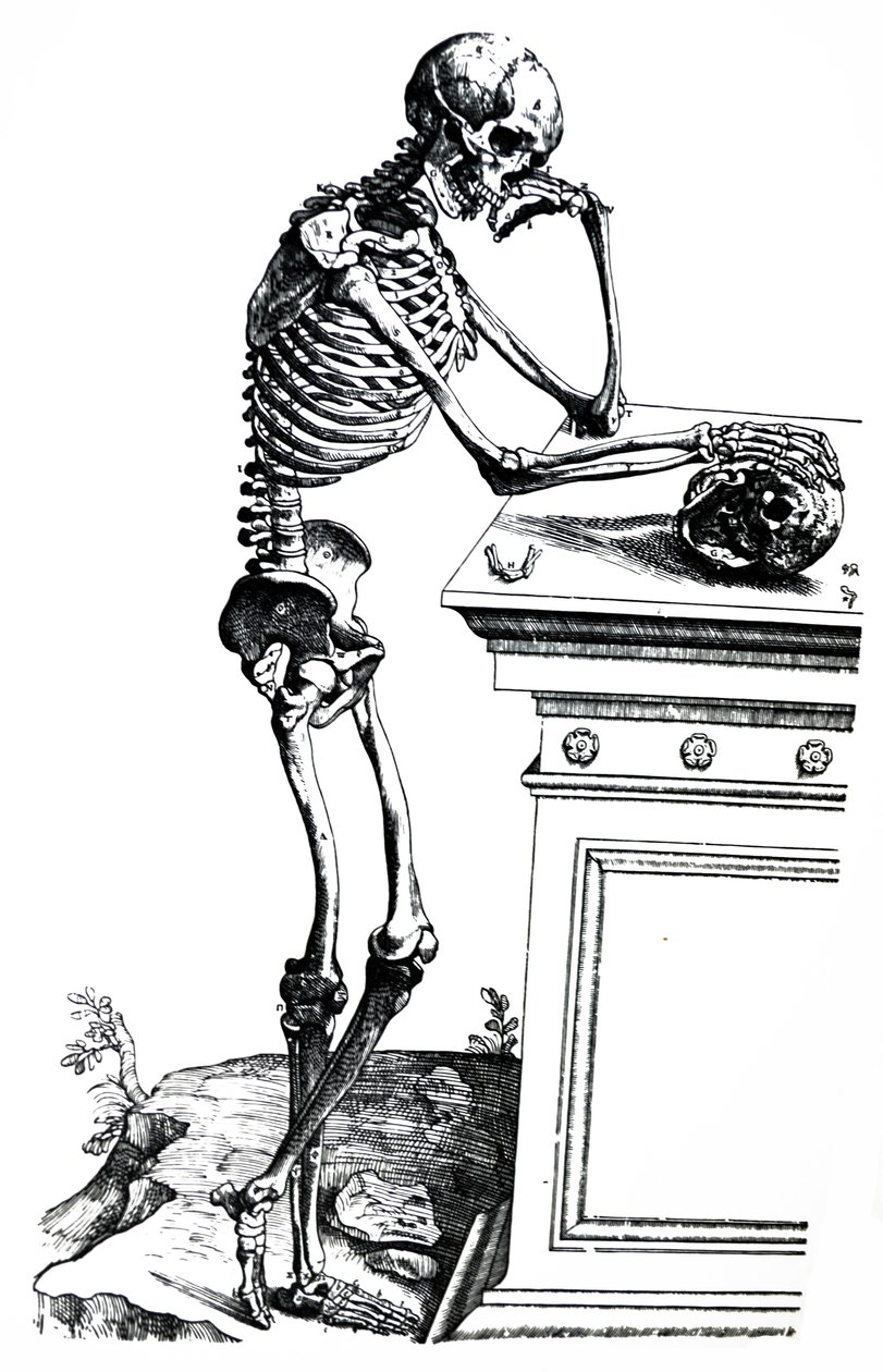 De Humani Corporis Fabrica -teoksen seitsemännen kirjan laatat. tekijältä Andreas Vesalius