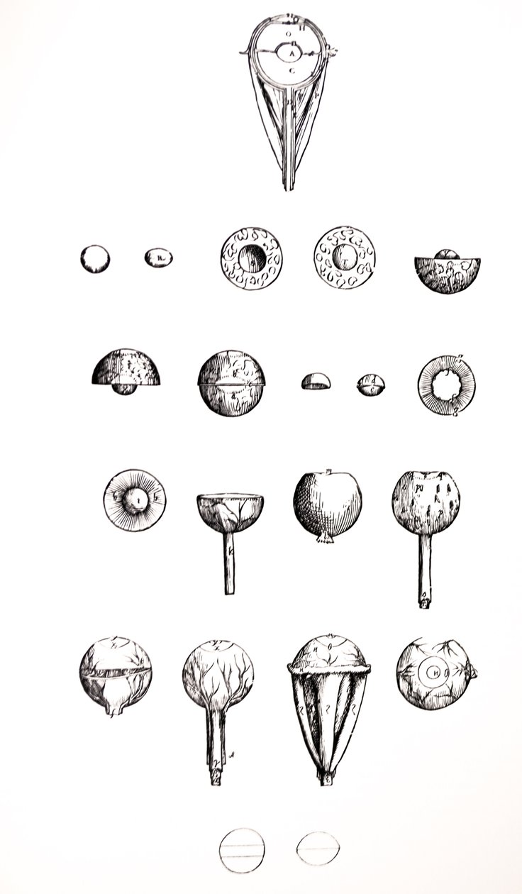 De Humani Corporis Fabrica -teoksen seitsemännen kirjan laatat. tekijältä Andreas Vesalius