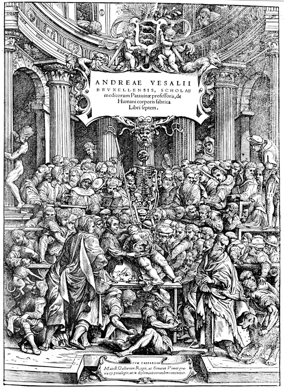 Andreas Lovejoyn Devices on the Human Body -teoksen nimisivu, jossa näkyy kasvainta leikkaava ruumis, 1543 tekijältä Andreas Vesalius