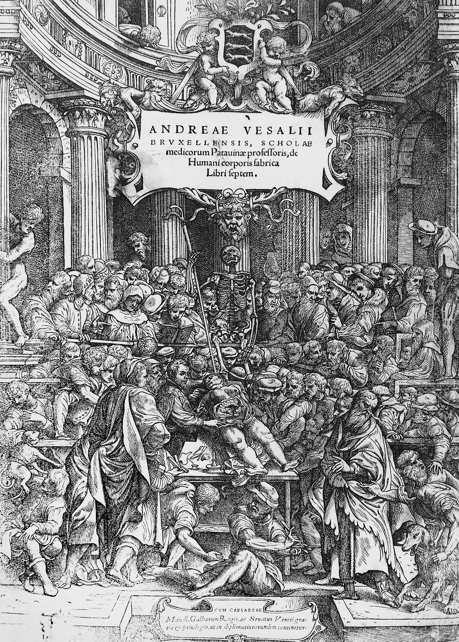 De humani corporis fabrican (latinaksi ihmiskehon kudoksesta) nimisivu, jossa Andreas Vesalius on kuvattu leikkaamassa ruumista tekijältä Andreas Vesalius