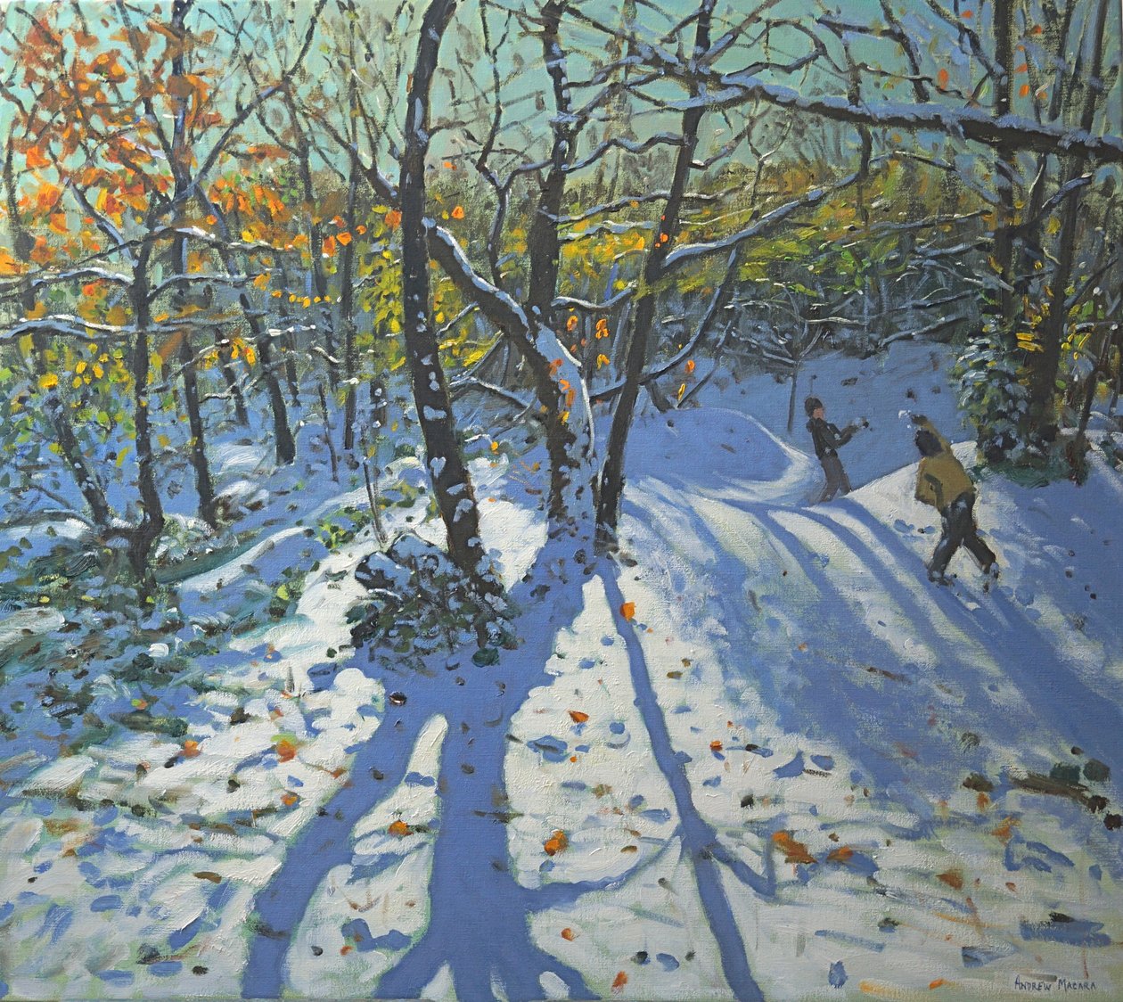 Allestree Park Woods marraskuussa 2010 tekijältä Andrew Macara