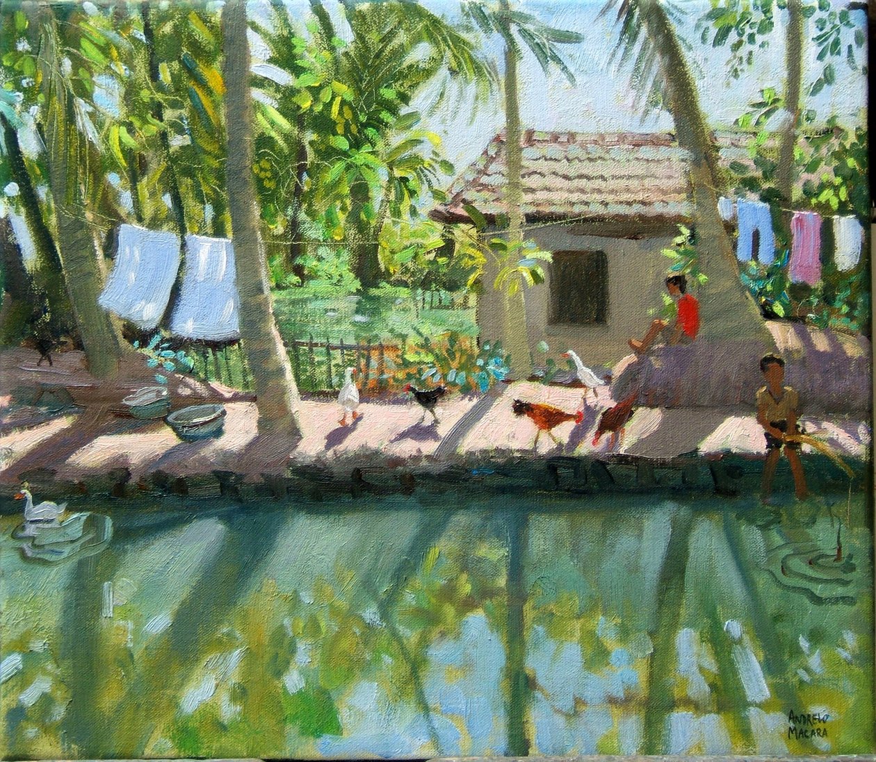 Backwaters, Intia tekijältä Andrew Macara