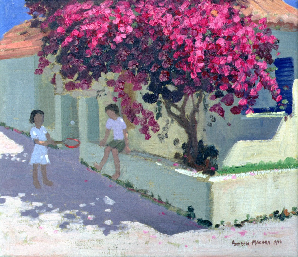Bougainvillaea, Zante, 1999 tekijältä Andrew Macara
