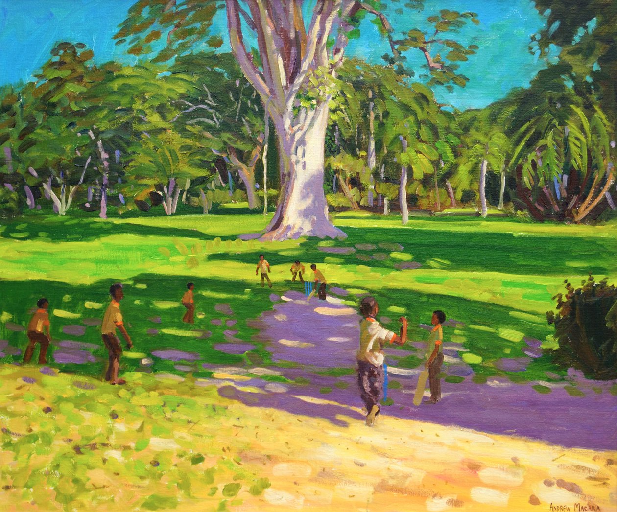 Krikettiottelu, Kasvitieteellinen puutarha, Dominica, Grenadiinit.2011, tekijältä Andrew Macara