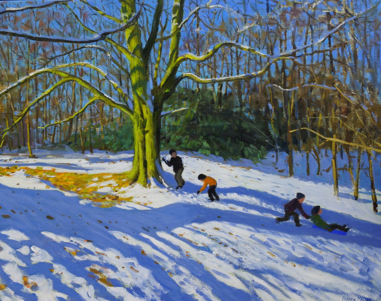 Yksityiskohta Top of Allestree Park,2014,öljy kankaalle tekijältä Andrew Macara