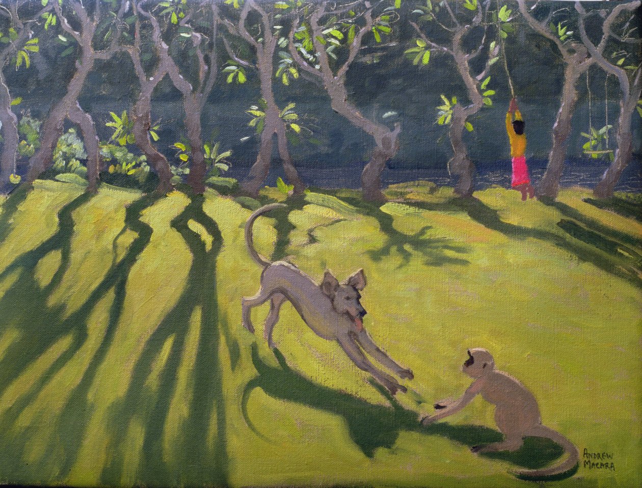 Koira ja apina, Sri Lanka, 1998 tekijältä Andrew Macara