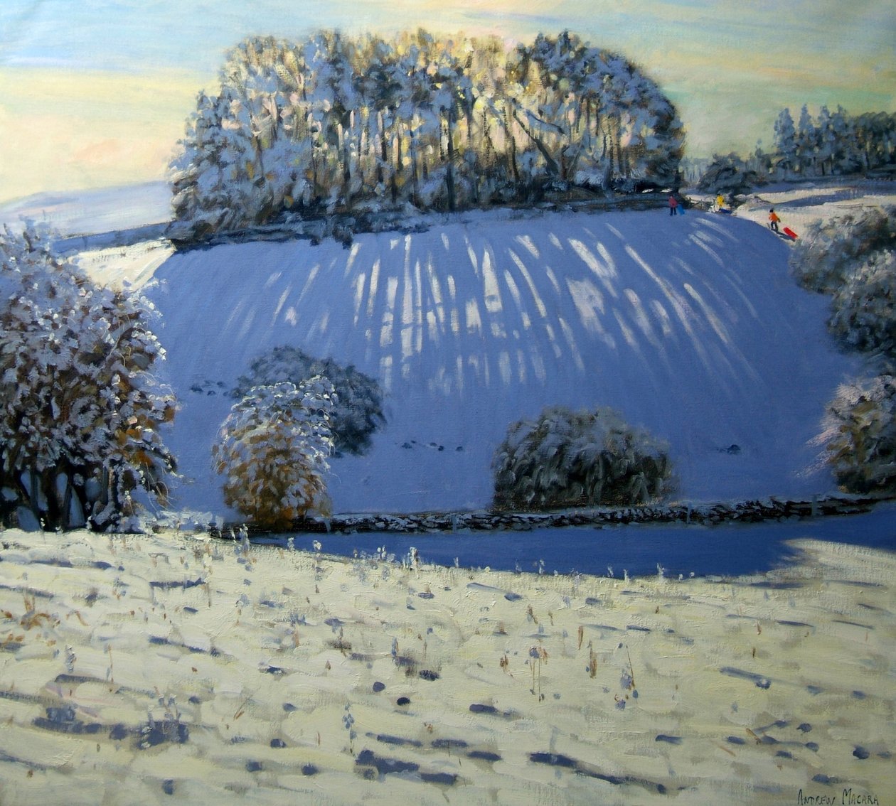 Varjojen kenttä lähellä Youlgravea, Derbyshire tekijältä Andrew Macara