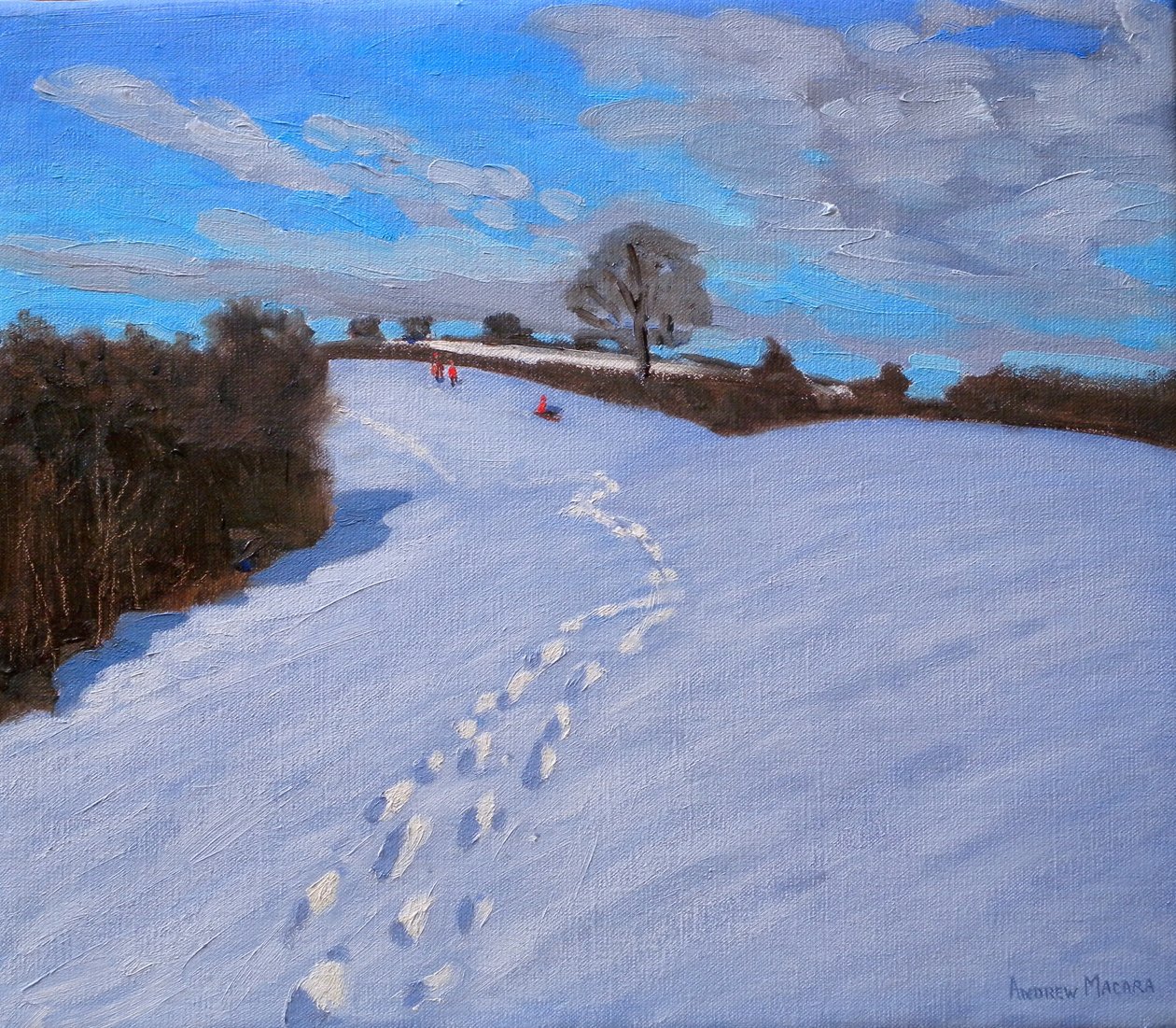 Jalanjäljet lumessa, 2009 tekijältä Andrew Macara