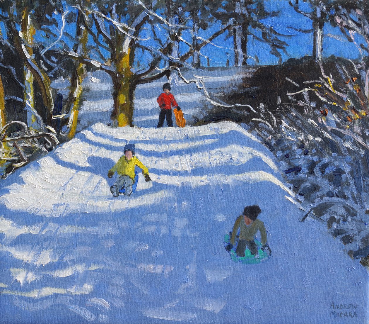 Hauskaa lumessa, Wash Green, Derbyshire, 2014, tekijältä Andrew Macara