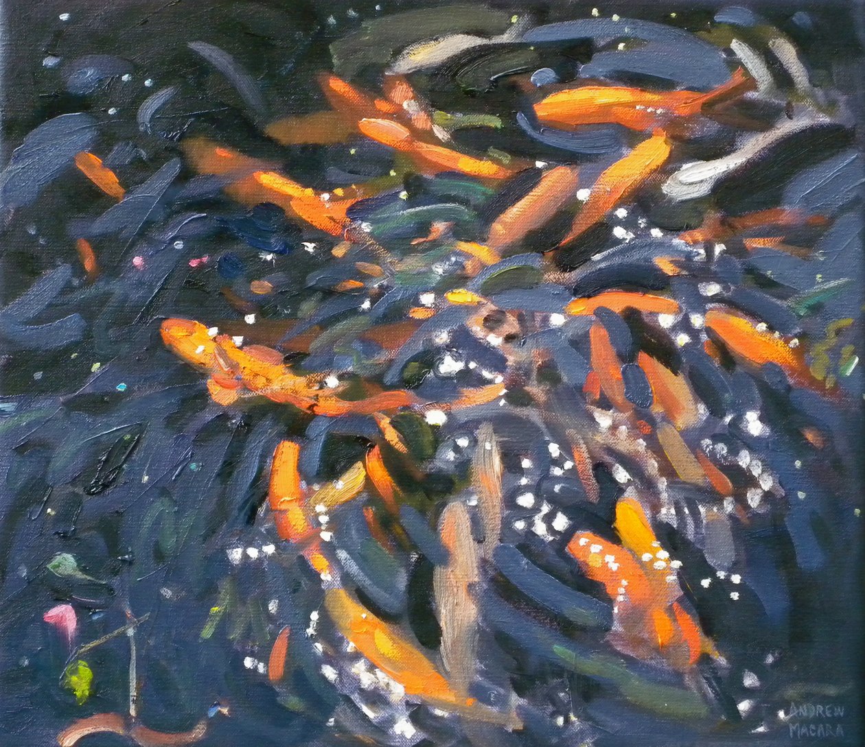 Kultakala, 2010 tekijältä Andrew Macara