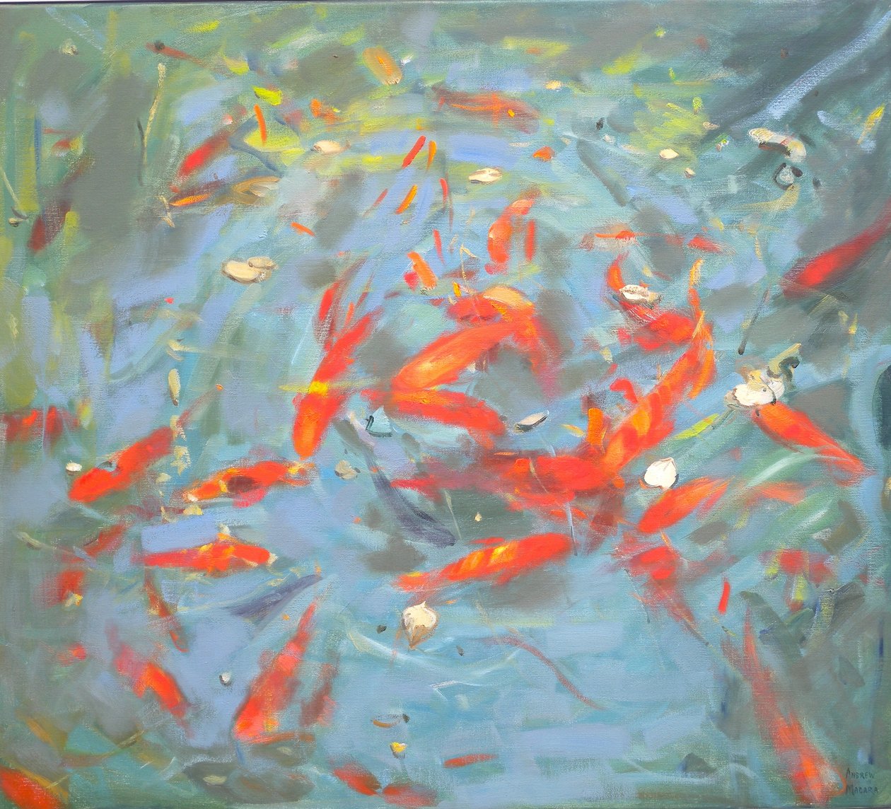 Kultakala, 2010, tekijältä Andrew Macara